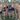 image00008