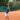 DSC_6742